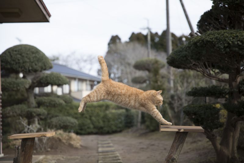 (C)KADOKAWA/五十嵐健太