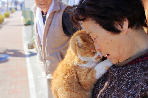 お母さんの腕に抱かれる「チビ」(17歳) 祥伝社/ケニア・ドイ