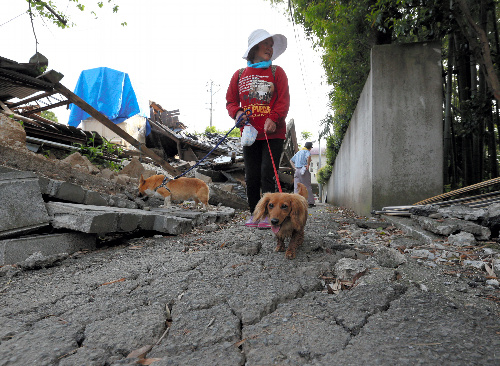 散歩がてら被災した自宅に向かう宮崎さんとペット。歩道にはひび割れが入り近くの家は倒壊していた=2日、熊本県益城町