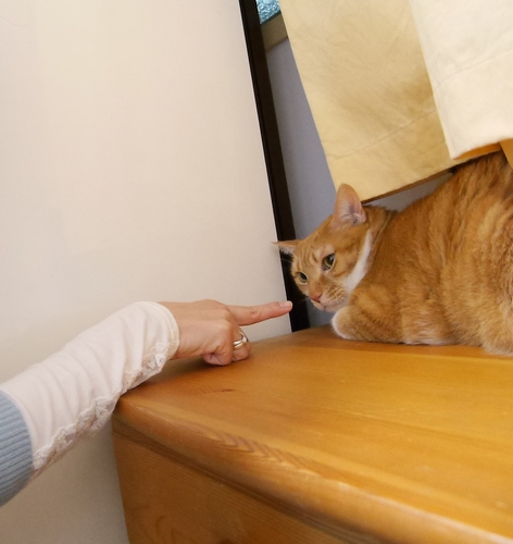 取材時はちょっとだけビビりました