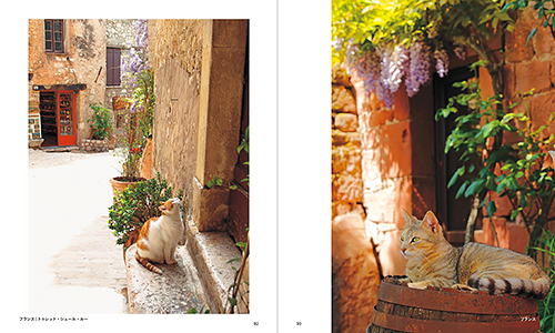 「世界の街猫」から