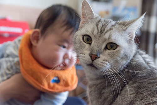 人が大好きなリク
