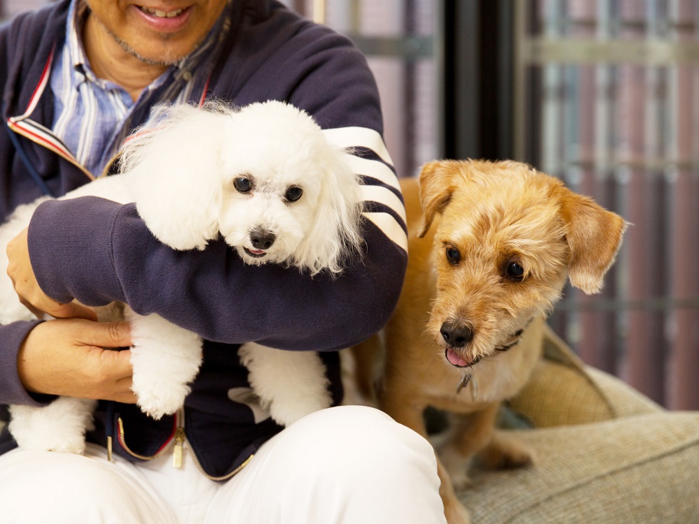 K9ナチュラルジャパンの看板犬、ルーパス君(6歳)と。