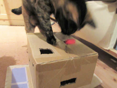 バシッ!!よく狙いを外すあんず