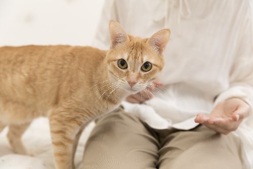 五十嵐健太撮影