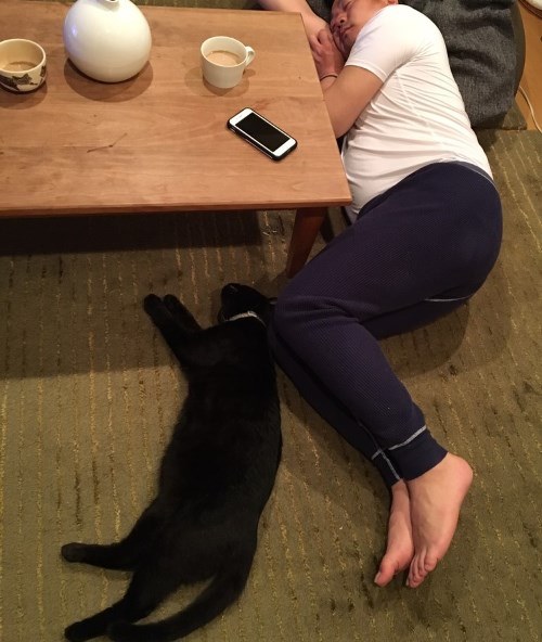 遊び疲れて居間で寝る龍と、とうさん