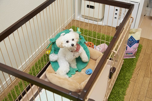 おもちゃに溺愛ぶりがうかがえるケージ