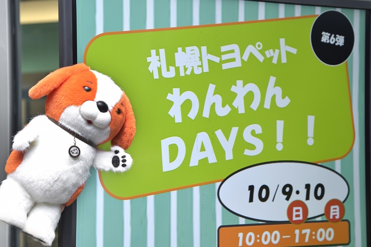 ワンサーもたっぷり遊んだ1日でした