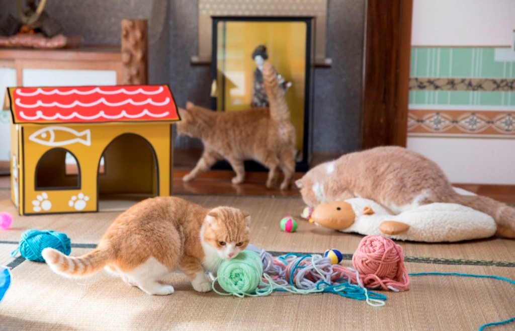 ねこあつめの世界を再現(C)KADOKAWA/五十嵐健太