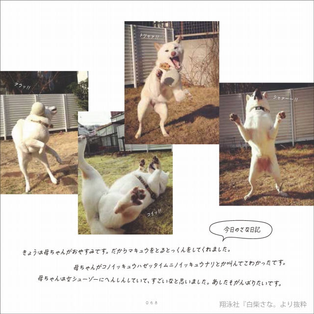 「白柴さな。」(翔泳社)から