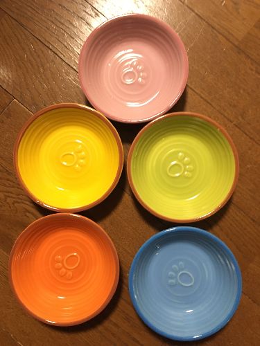 食事は5匹それぞれ、別の色のお皿で区別してあげている