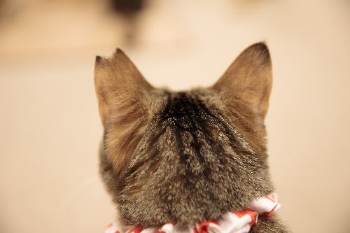 五十嵐健太 撮影