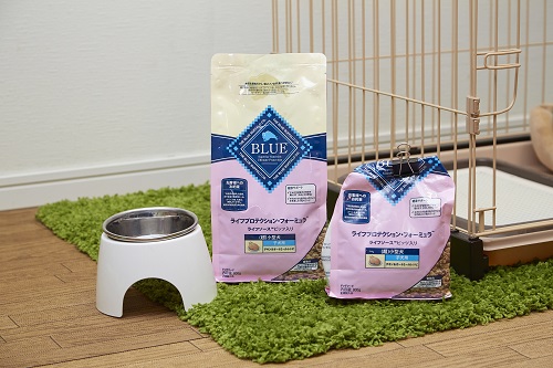 年齢に合わせたフードを選ぶことは、簡単にできる愛犬への愛情表現