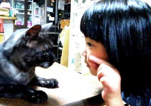 家族にとってファーストキャットの「ぎんた」