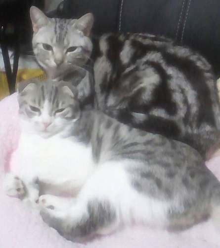 ルビー(後ろ)との2ショット