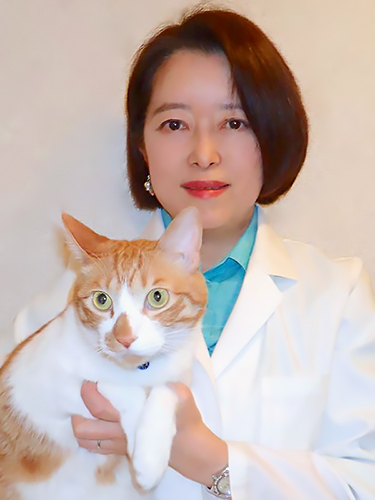 赤坂動物病院院長・柴内晶子獣医師の「命の教育・猫と仲良くなろう!」は、おとなが聴いても参考になる内容だ。