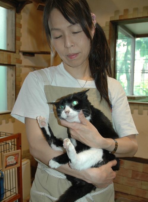 大きな声で鳴くこともあるけど、チビはがんばっています