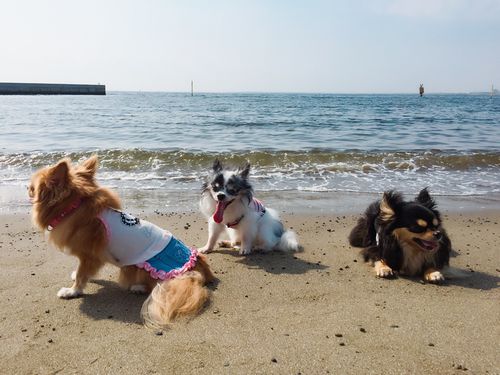 「モデルっぽい?」「あゆちゃんの撮影がうまいから」「そうそう」