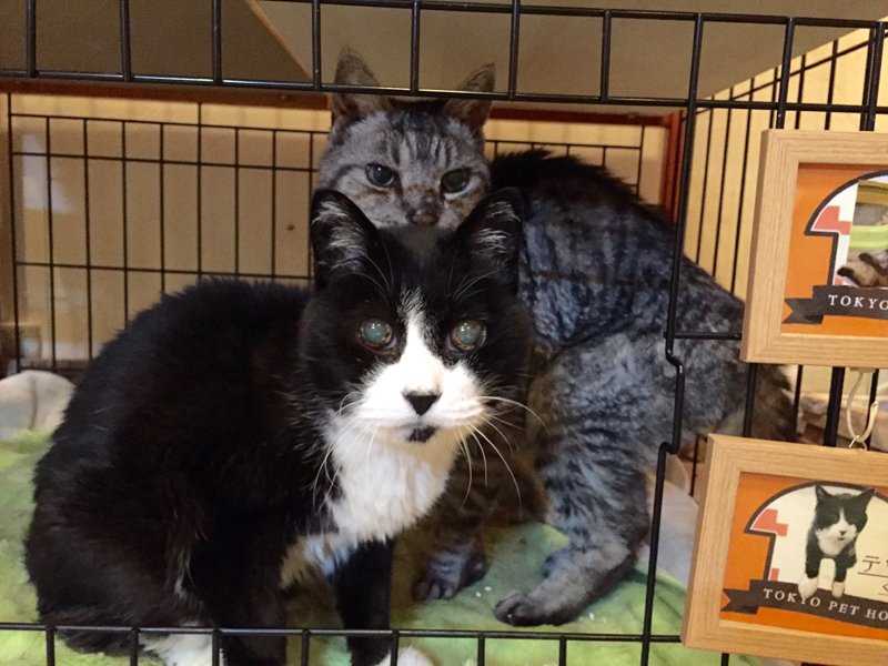 トラ君との友情は永遠…