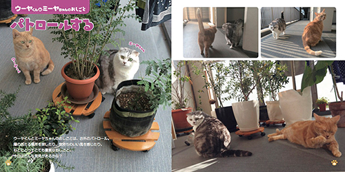 『ねこのおしごと』より