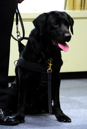 警視総監賞を授与されたムーンロケット号=警視庁本部