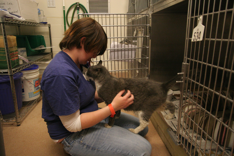 病気の猫の相手をするケイティ(c)大塚敦子