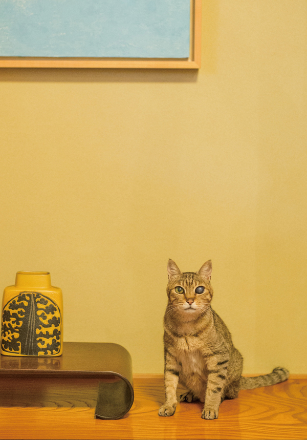 日貿出版社提供