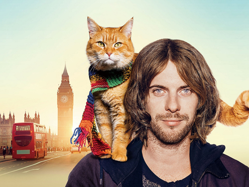 (c)2016 STREET CAT FILM DISTRIBUTION LIMITED ALL RIGHTS RESERVED.