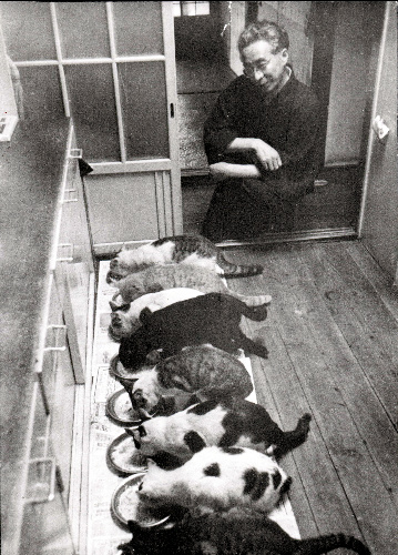 一列で食事する猫たちを見守る大佛次郎=石井彰氏撮影、大佛次郎記念館提供