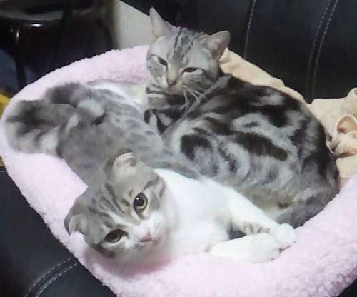 ルビー(右)との2ショット