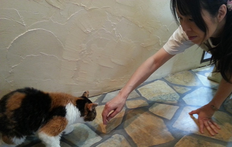 歩いていたら、筋力がだんだん戻ってきました