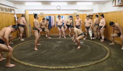 朝稽古の風景=荒汐部屋