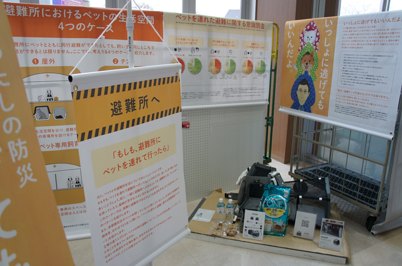 猫と防災を考える「いっしょに逃げてもいいのかな展」