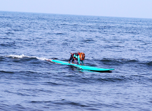 波が来たら飼い主の浅野さんが後ろからボードを押します