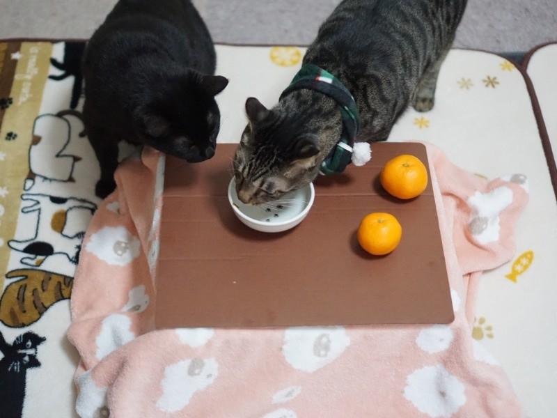 ごはん台にもなります