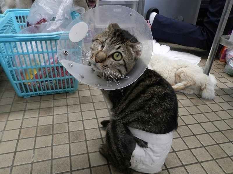 施設で治療を受けていた頃