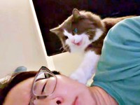 背後から現れた れたすくん。飼い主さんをちょいちょい（画像提供：やどランドはっぴー村theふぁいなるさん）