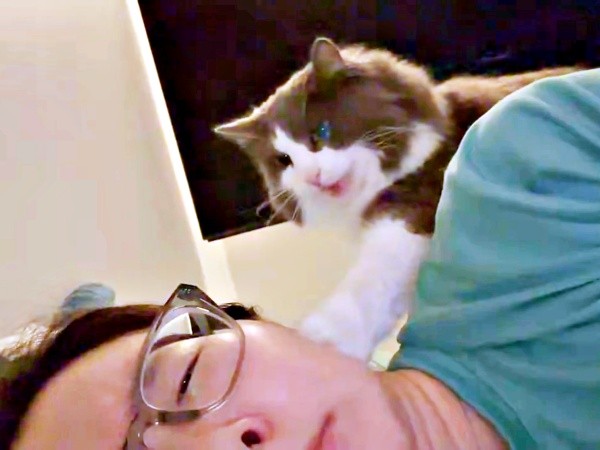 背後から現れた れたすくん。飼い主さんをちょいちょい（画像提供：やどランドはっぴー村theふぁいなるさん）