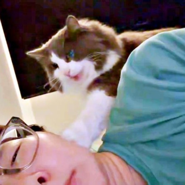 背後から現れた れたすくん。飼い主さんをちょいちょい（画像提供：やどランドはっぴー村theふぁいなるさん）