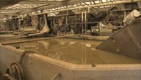 浸水で養殖場からアユ15万匹が流出　工場爆発で建物に被害も　岡山・総社市