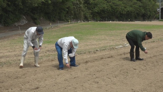 香川・土庄町伊喜末　19日