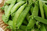 ほのかな甘みと歯切れのよさが特徴※画像はイメージです（K/stock.adobe.com）