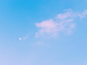 いなくなってからでは遅い。推しが亡くなって1年で辿り着いた答え