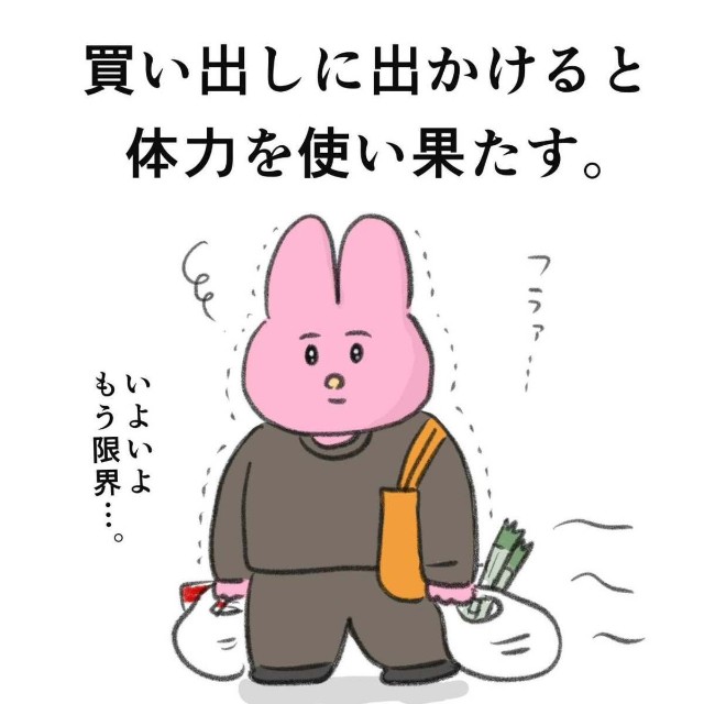 買い出しは移動と同時に重い荷物を持つ必要もある激務（なおにゃんさん提供）