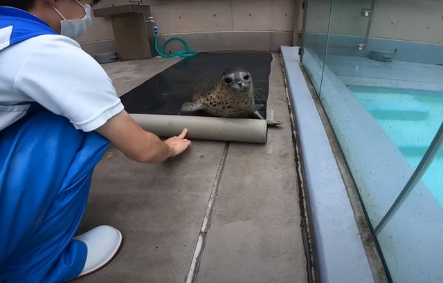 はい、おしまい。まだ遊びたいかもしれない赤ちゃん