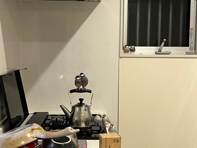 文鳥8羽がキッチンをジャック！（しらたまさん提供）