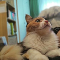 口元が杉山さんのお気に入り