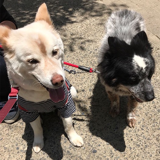 左側の子がたけちゃんのママ