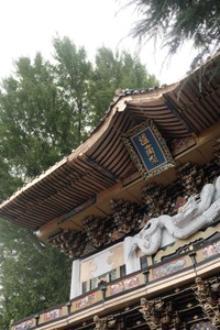 下から仰ぎ見ればますます本物そっくり（ざわわさん提供）