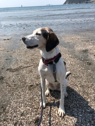初めて車で外出した逗子海岸で「海を見るのも初めて」（泉水さん提供）